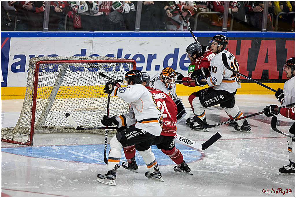 DEL, Koelner Haie - Grizzlys Wolfsburg, 17.03.2017